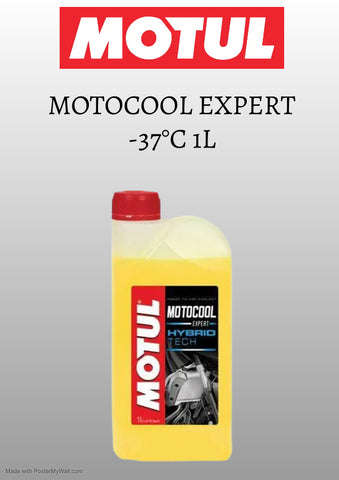 MOTUL MOTOCOOL EXPERT -37°C 1L